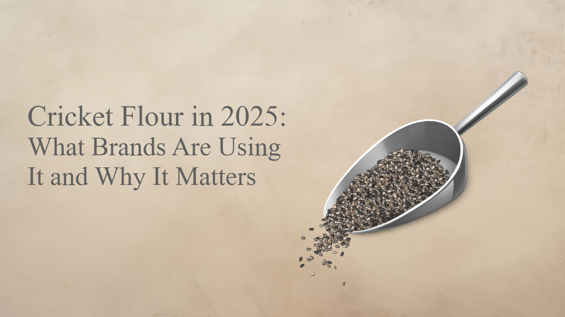 cricket flour in 2025 01